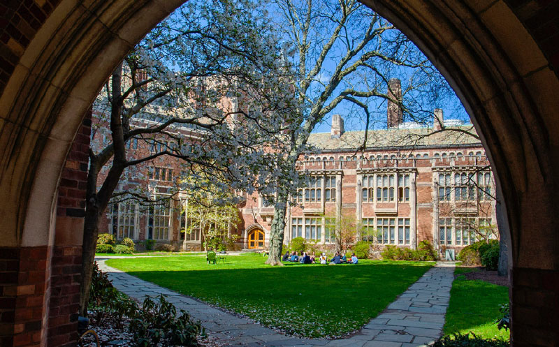 Yale Campus Image